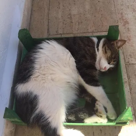Kas Hotel * Κας