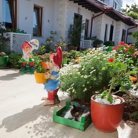 Ξενοδοχείο Kas Hotel